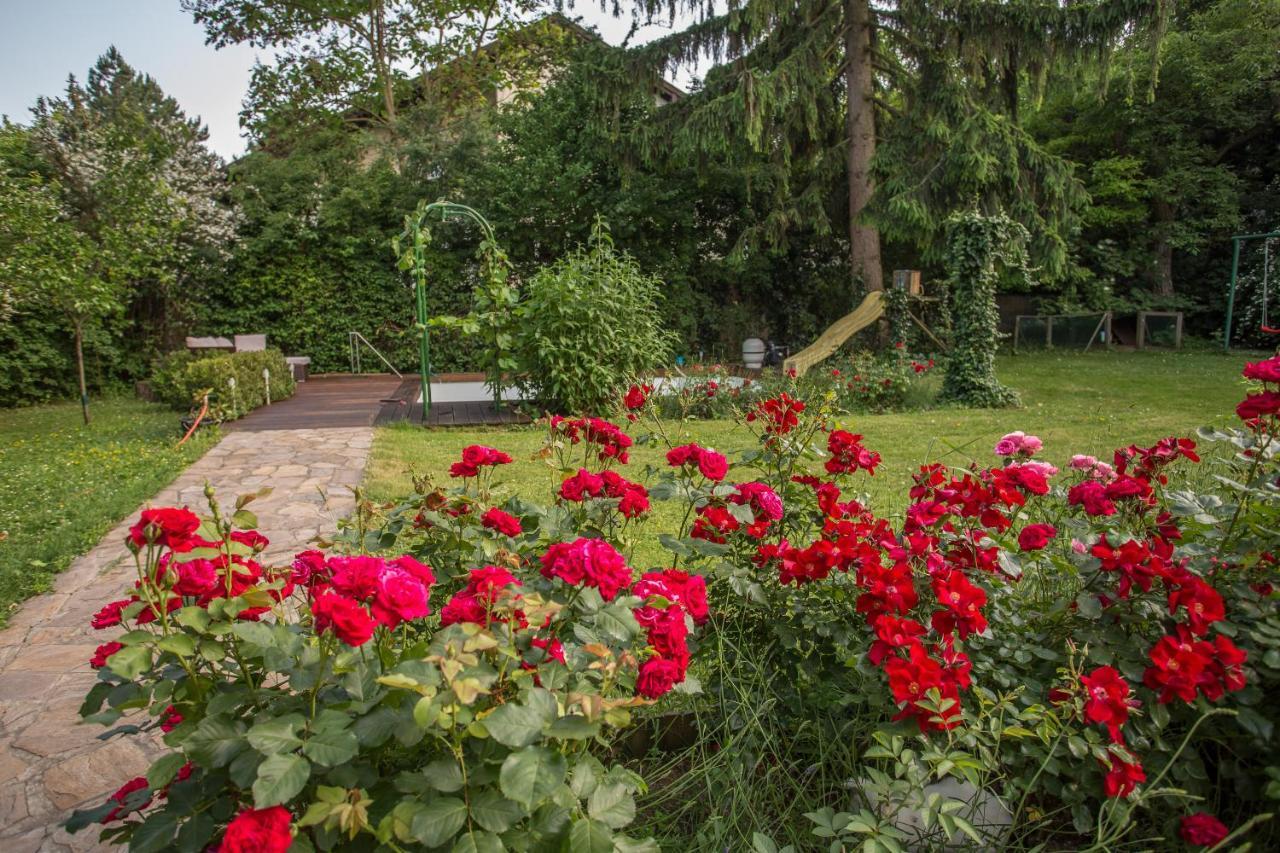 Huebsches Privatzimmer Mit Bad Perchtoldsdorf Exteriér fotografie
